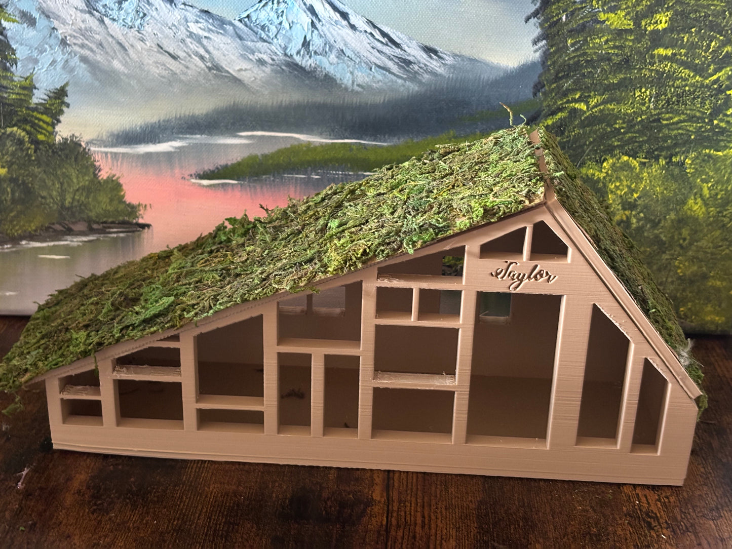 Taylor Swift Folklore Cabin replica