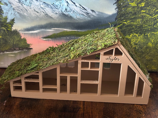 Taylor Swift Folklore Cabin replica